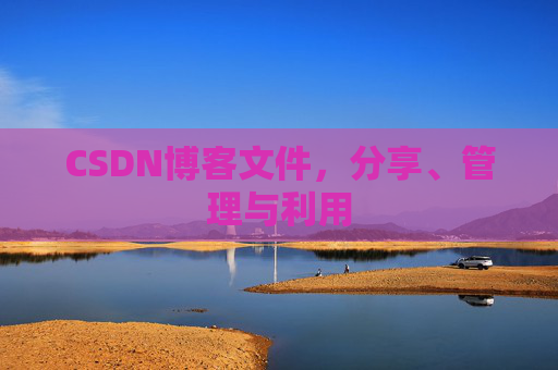 CSDN博客文件，分享、管理与利用